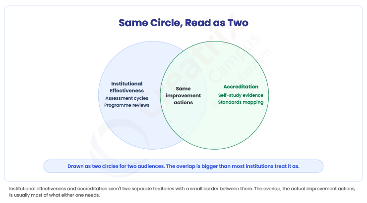 same-circle-read-as-two