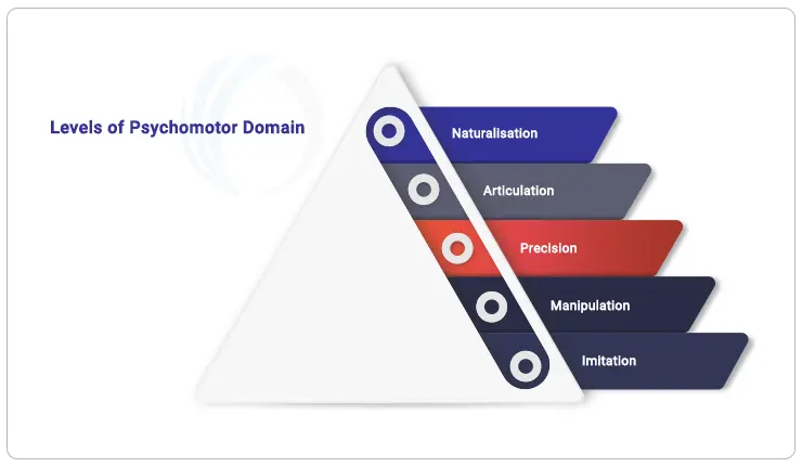 Levels-of-psychomotor-domain