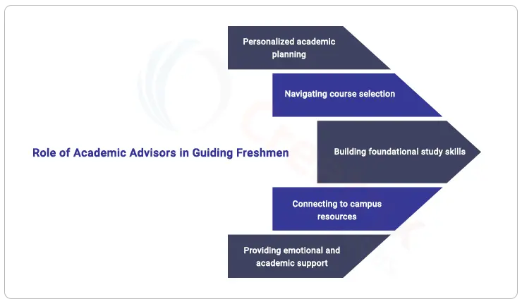 role_of_academic_advisors_in_guiding_freshmen