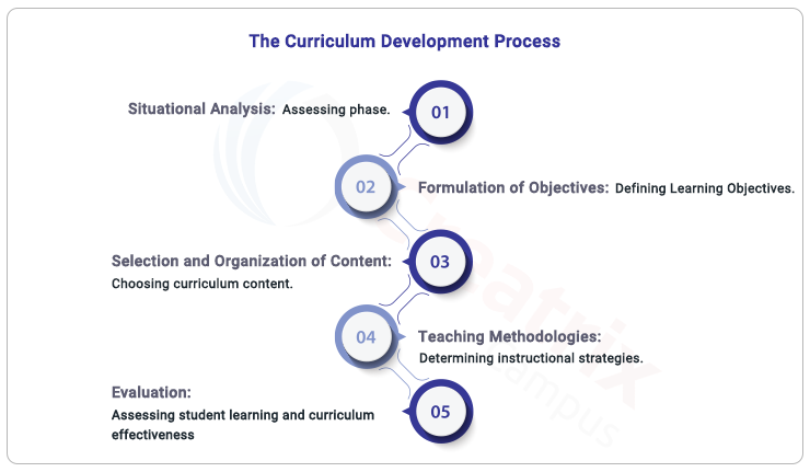 curriculum development process